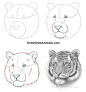 How to draw a tiger portrait from How2DrawAnimals #tigerart #pencildrawings #artdrawings #drawingtechniques