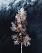 "Rural Ukraine From Above": Spectacular Drone Photography By Nazarii Doroshkevych : Gorgeous aerial shots from rural areas of Ukraine by Nazarii Doroshkevych, talented photographer, retoucher and drone pilot currently based in Kiev. Nazarii trav