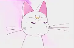 美少女战士头像
