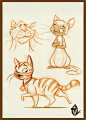 Cat Doodle work, Vipin Jacob : Explorations over lunch break.