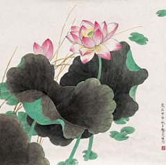 淡淡ヤ自然采集到繪。
