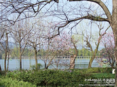 Xujiqiang00采集到杭州美景（西湖）,多图,