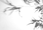 (11) Pinterest