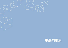 萧尘nora采集到文本