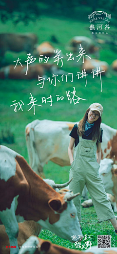昕可陈采集到小镇项目