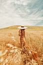 fall autmn color theme orange aesthetics rust color Photographed in California, this retro fine art photo is perfect for adding a dreamlike and calming vibe to your social media profiles or living spaces when printed. Its pretty color palette and painterl