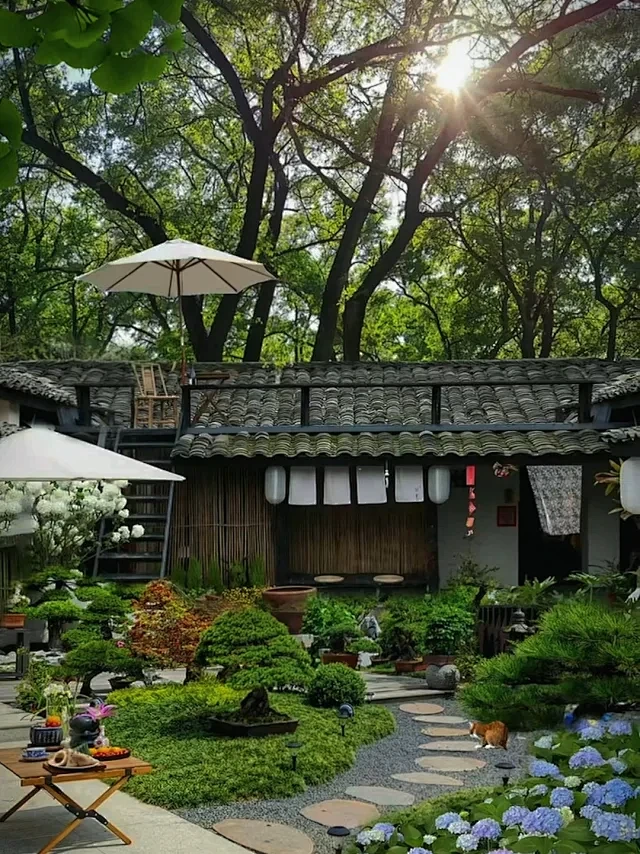 民宿庭院-小红书搜索-花瓣网