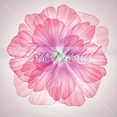 无缝模式与粉红色的花瓣#插画# #动物插画# #头像# #小兔# #兔子# #白背景# #水彩# #小动物# #动物插画# #生肖动物# #卡通插画# #动物T恤印花# #可爱动物头像# #可爱动物桌面# #可爱海报设计素材# #请柬设计素材# #天鹅# #草莓蛋糕插画#