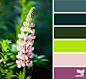 Design Seeds® | find your palette