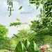端午节c4d粽子合成海报