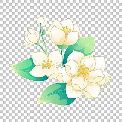中国风鲜花茉莉花矢量插画花朵素材图片下载