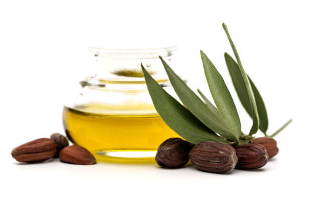 Jojoba oil, seeds an...