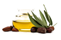 Jojoba oil, seeds and leaves