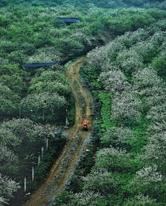 李伊尔弎采集到实景