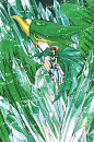 【已审】【clamp画集系列】~~魔法骑士画册(2本)~