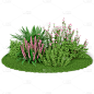 手绘花朵绿叶3D灌木丛元素