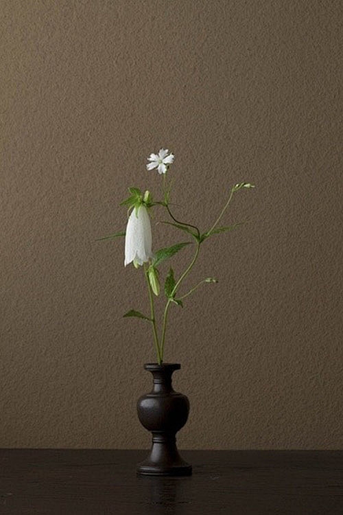 人与花道，日本花艺大师川濑敏郎的插花作品...