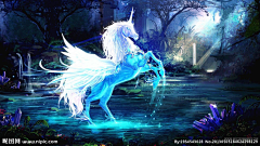 一片☪空白✟采集到独角兽