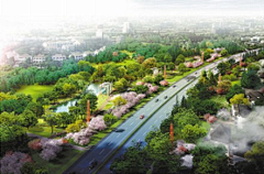 Passerby゛采集到C--景观-道路绿化