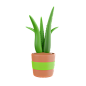 Plant Pot 3D Icon