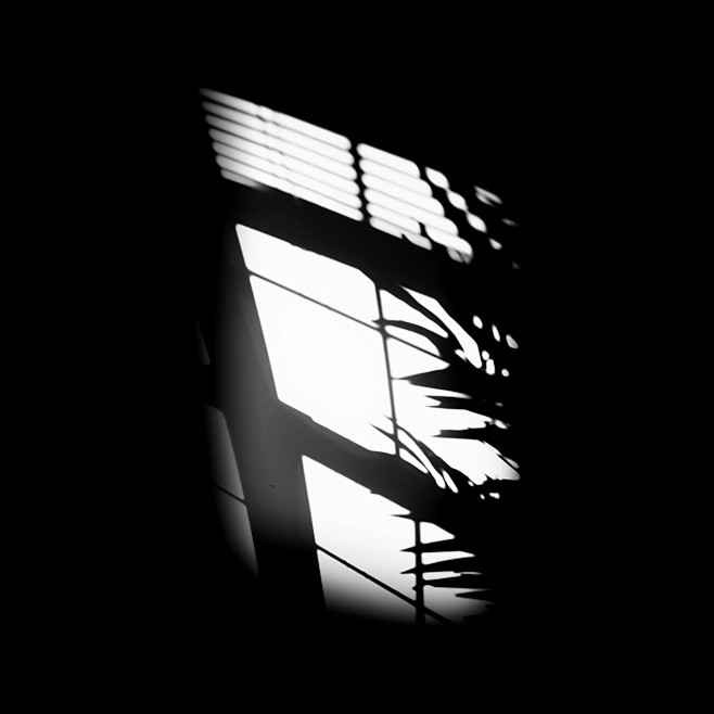 Blinds_29