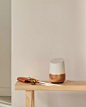 Google Home Mini : Google Home Mini is Google Assistant anywhere you want it.