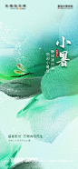 小暑海报设计师小暑海报-志设网-zs9.com