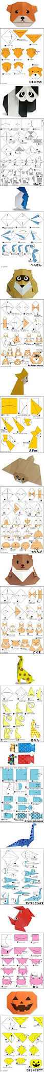 简单易学的日系小动物折纸，好喜欢！