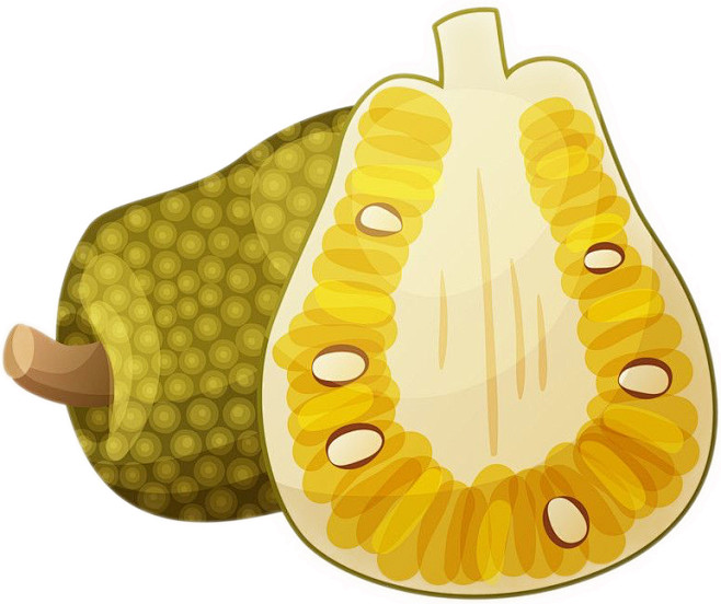 菠萝蜜, Jackfruit