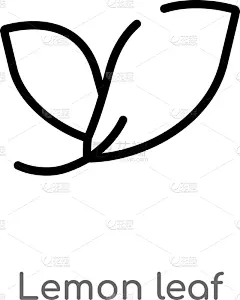 分离着色,轮廓,柠檬叶,黑色,简单,计算机图标,茶,白色,创造力,自然