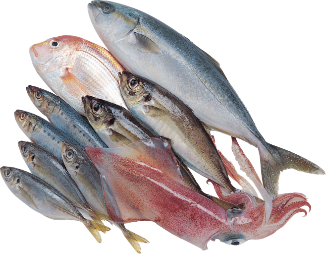 fish_PNG25091