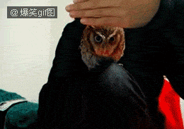 来自有意思吧（www.u148.net）