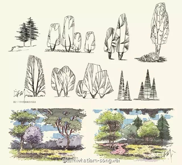 【绘画教程】植物的手绘教程~有简单有复杂...