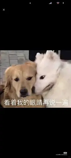 大家有没有那种平静又疯感的表情包