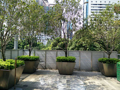 清咕吖采集到树箱花箱
