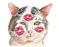 Original Cat Painting Watercolor Original - Cat Painting, Kiss, Lipstick Marks, 8x10 Watercolour