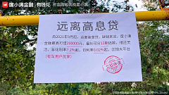 小果哥-采集到金融 保险 红包 签到