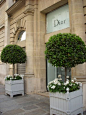Great Planters! LOVE.: 