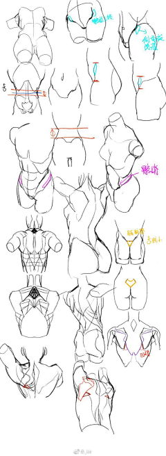 美味的硬木质果采集到【人体】绘画素材