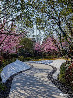 流光碎影中的青春飞过夏天采集到景观——道路街景/铺装