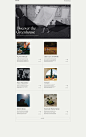 beauty cosmetics e-commerce Ecommerce Fashion  makeup Photography  uxui Webdesign Website