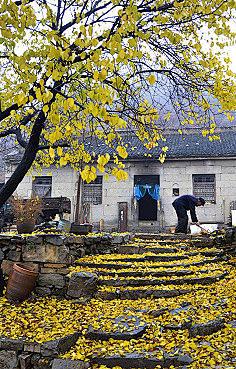 设设菲采集到风景