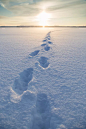 雪创意图片图片素材_ID:VCG41505658732