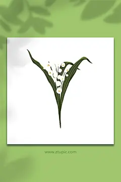 手绘花朵民国风人物插画