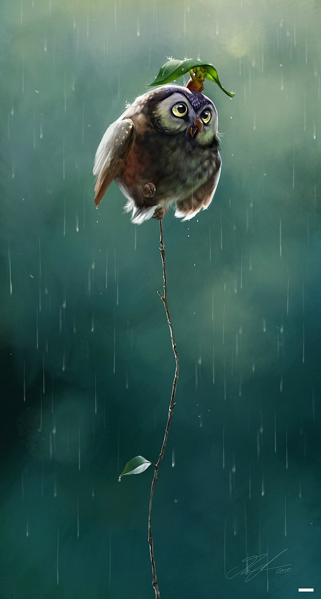 小雨天，猫头鹰在小树枝上，可爱的小老鼠蹲...