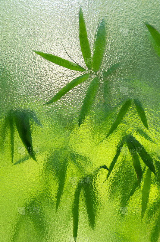 磨砂玻璃,竹,垂直画幅,纹理效果,绿色,...