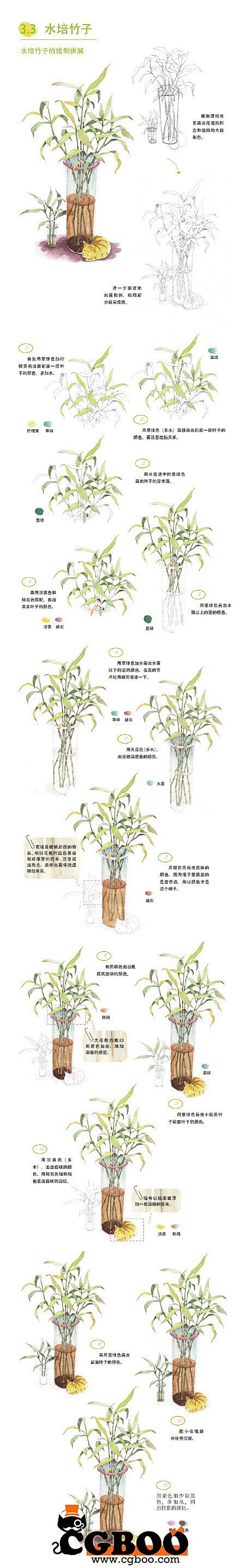 【新提醒】水彩-竹子原画设计教程CG帮美...