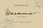 Harmonie Script连笔手写效果英文字体   - PS饭团网
