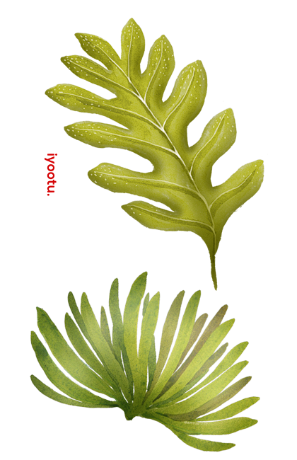 春季春天手绘鲜花花卉花框合成元素_PNG...