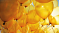 gender neutral yellow balloons